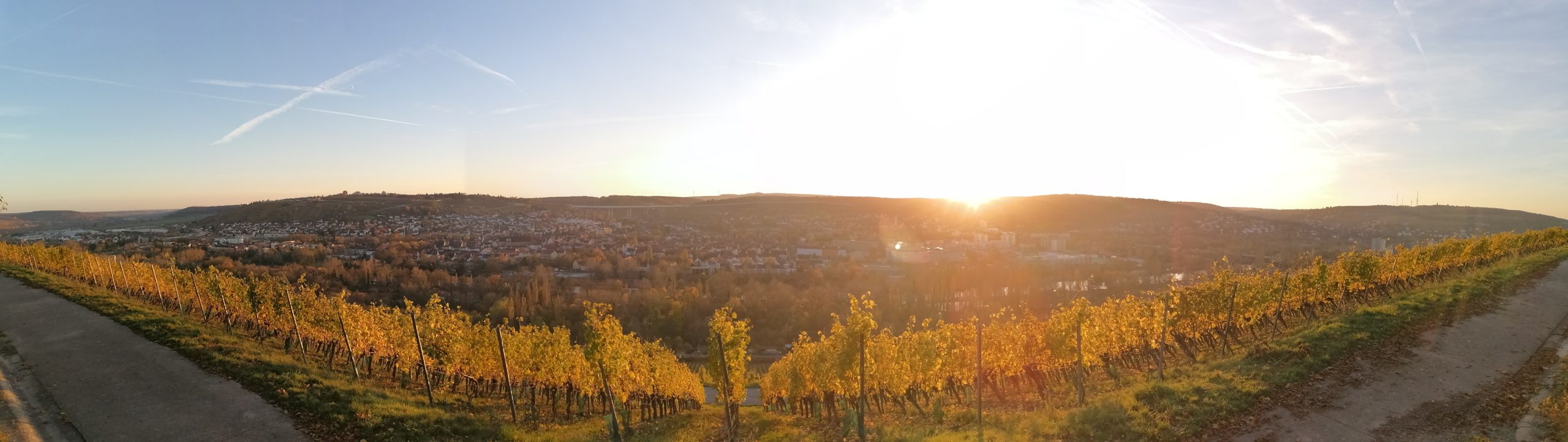Da die Gartenstadt Keesburg auf dem Neuberg und damit auf einer Anhöhe liegt, hat man vielerorts einen schönen Ausblick in das Umland. Z.B. nach Randersacker, oder wie hier im Bild nach Heidingsfeld.