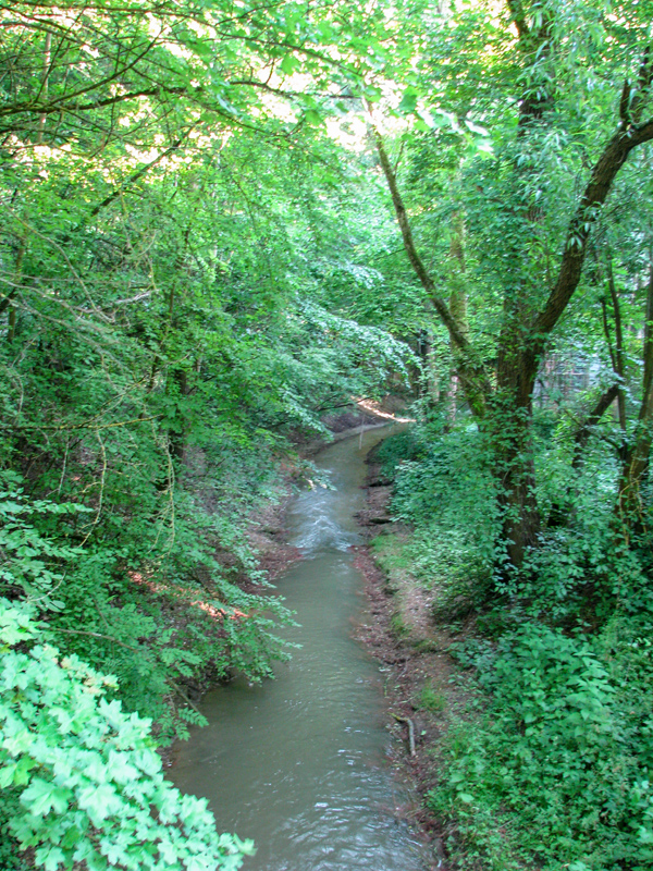 Die Pleichach verläuft durch die Lindleinsmühle oftmals unterirdisch und führt durch die Stadt bis in den Main.