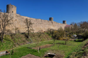 Die alte Heidingsfelder Stadtmauer