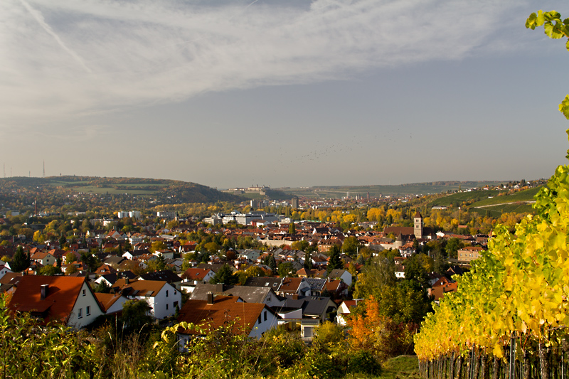Blick von den herbstlichen Weinbergen am Katzenberg über Heidingsfeld nach Würzburg.