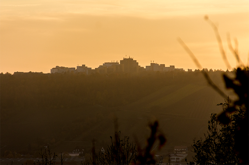 Blick von Randersacker hinüber zur typischen Heuchelhof-"Skyline".