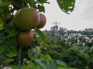 Blick über wilde Wiesen an der Flürleinstraße