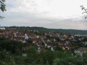 Blick in den Pilziggrund.