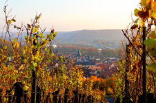 Blick auf Randersacker im Landkreis Würzburg.