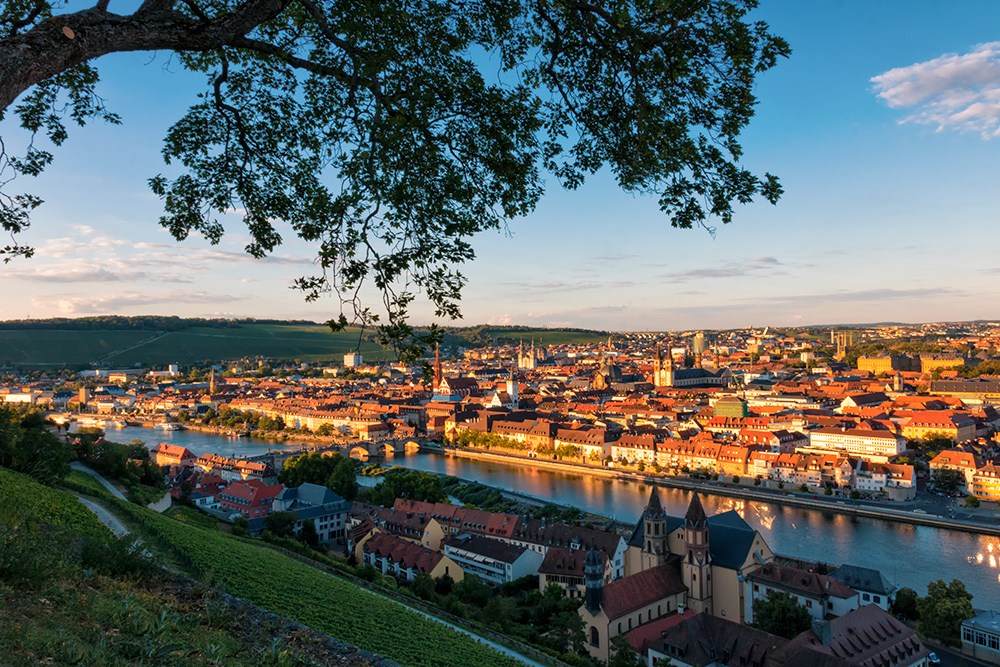 Blick auf Würzburg im Sommer.
