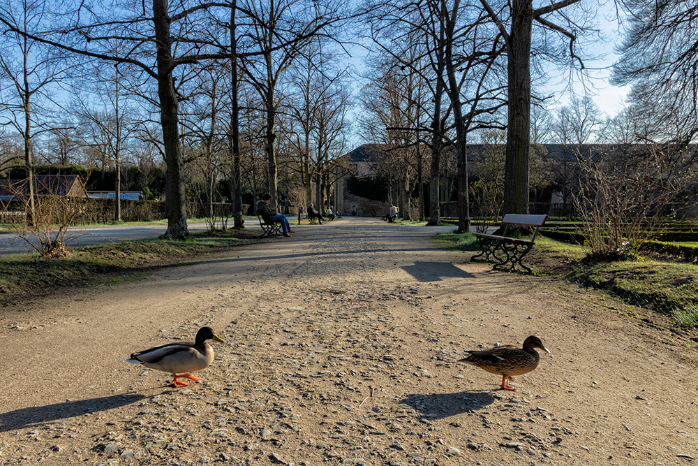 Endlich passt das Wetter für einen ersten Frühlingsspaziergang im Hofgarten der Residenz! ;-)