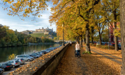 So schön ist der Herbst bei uns am Main in Würzburg!