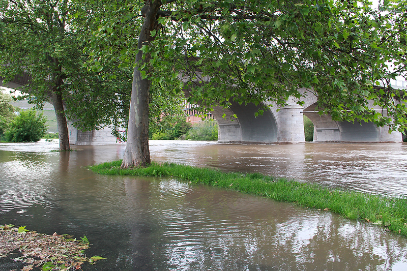 Hochwasser am 02. Juni 2013 an den Mainwiesen in Würzburg.