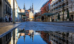 Juliuspromenade im Herbst