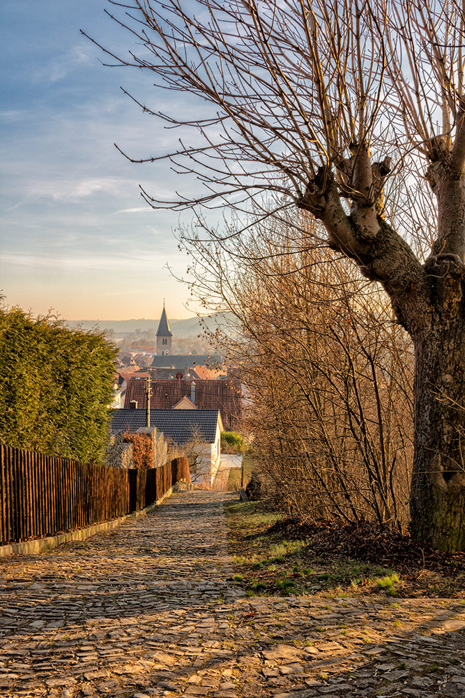 Blick vom Stationenweg auf die Kirche St. Stephanus im schönen Randersacker!