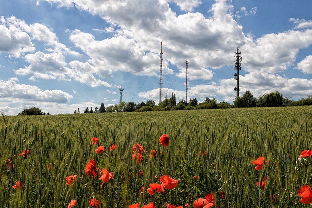 Von der Frankenwarte ins Steinbachtal