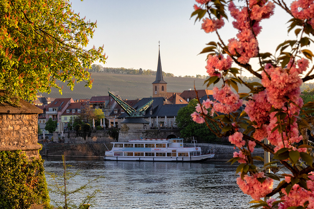 Sonnenaufgang an der Dreikronenstraße am Main in Würzburg.