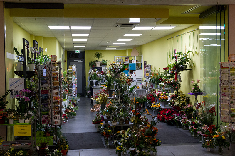 Auch das traditionsreiche Blumengeschäft hat nun eine neue Bleibe mit zeitgemäßer Ladeneinrichtung.