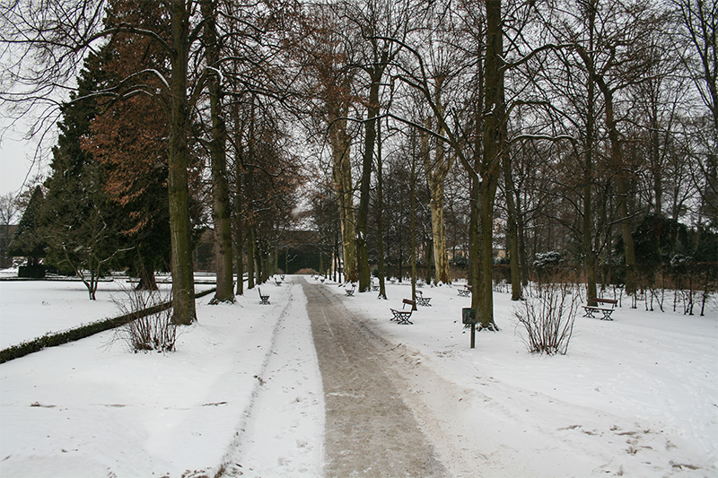 Hofgarten der Würzburger Residenz im Winter.