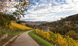 Weinwanderweg