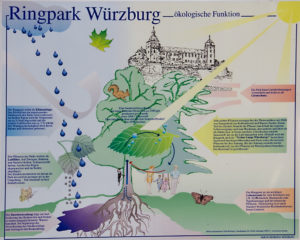 Schautafel zur Erklärung der "Ökologischen Funktion" des Ringparks.