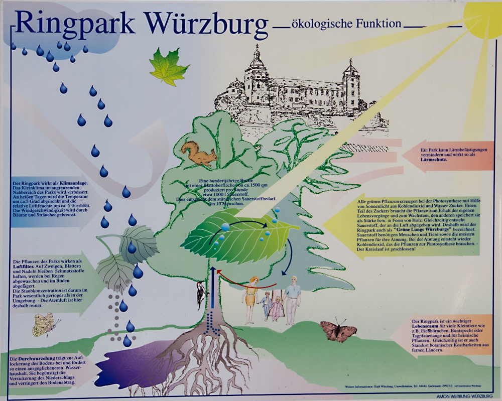 Schautafel zur Erklärung der "Ökologischen Funktion" des Ringparks.