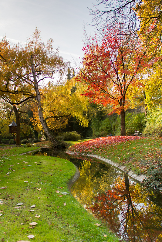 Für mich ist es immer wieder faszinierend, welches farbliche Schauspiel uns die Natur im Herbst so bietet.