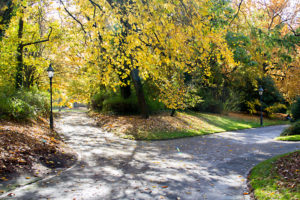Wunderschönes Herbstwetter mit leuchtenden Farben in "Klein Nizza".