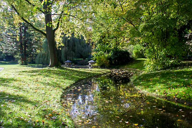 Die Teichanlagen wie hier in "Klein-Nizza" gehörten auch zum Konzept von Jöns Person Lindahl der den Ringpark einst entworfen hat.