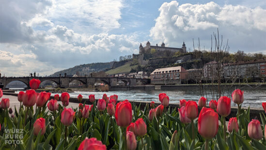Frühling
