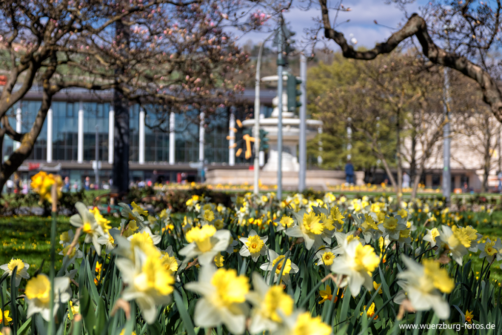 Frühling 2021 im Kaisergärtchen in der Kaiserstraße.