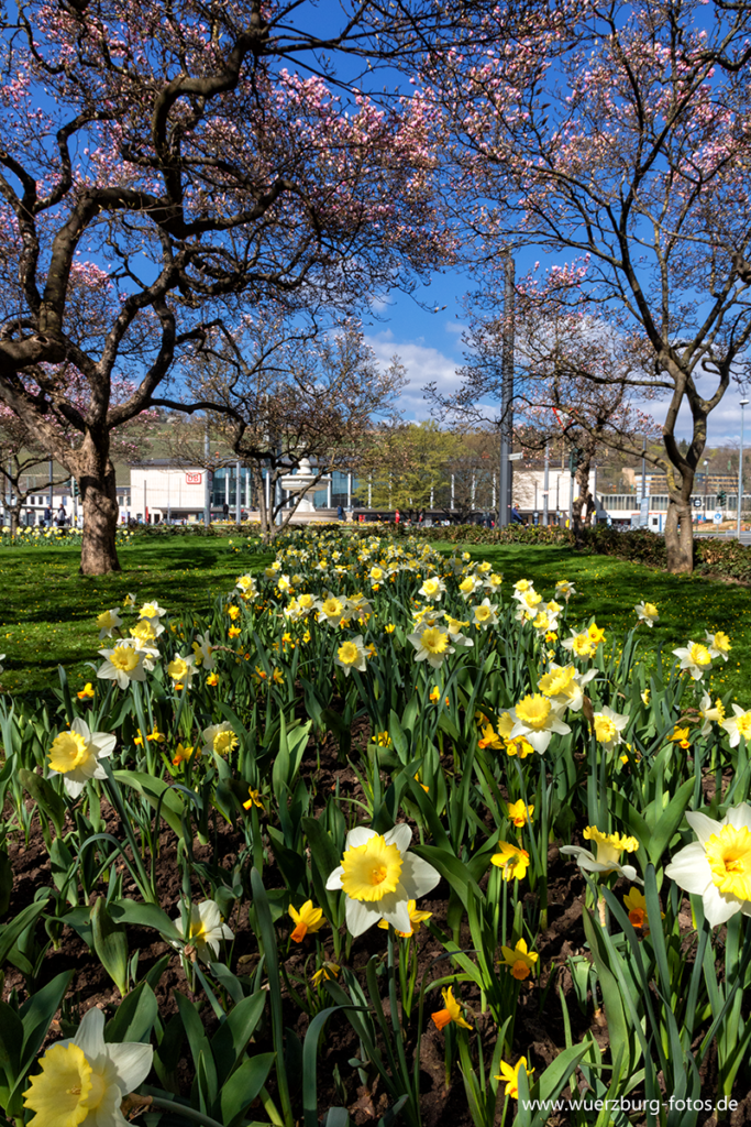 Frühling 2021 im Kaisergärtchen in der Kaiserstraße.