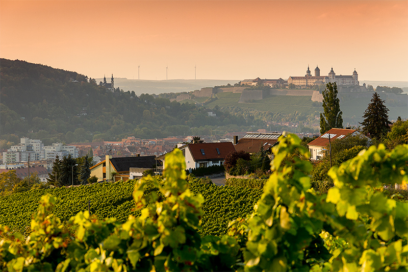 Würzburg im Herbst.