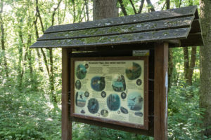 Infotafel am Wanderweg durch den Wald im Steinbachtal