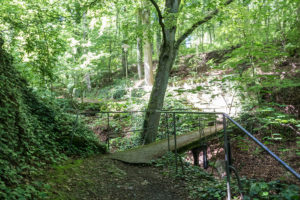 Kleine Brücken überqueren die Annaschlucht.