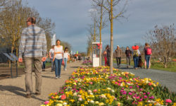 Landesgartenschau Gelände am ersten Eröffnungswochenende.