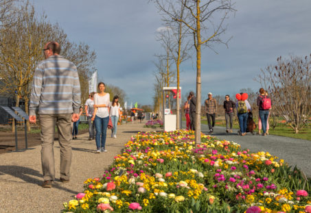Landesgartenschau in Würzburg