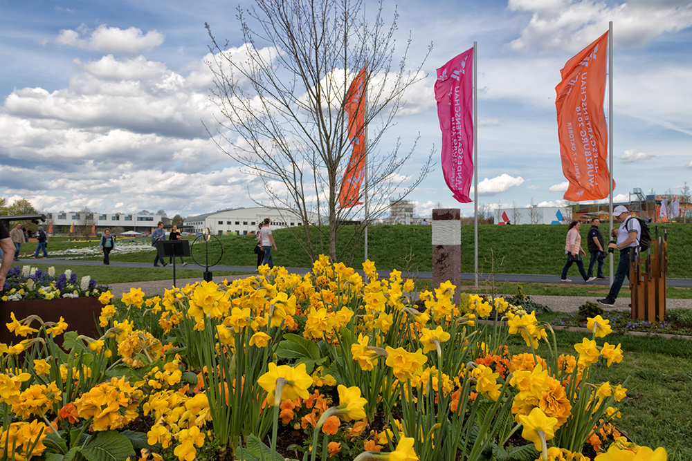 Blumenpracht bei der Landesgartenschau.