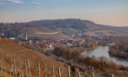 Blick aus den Weinbergen auf Randersacker.