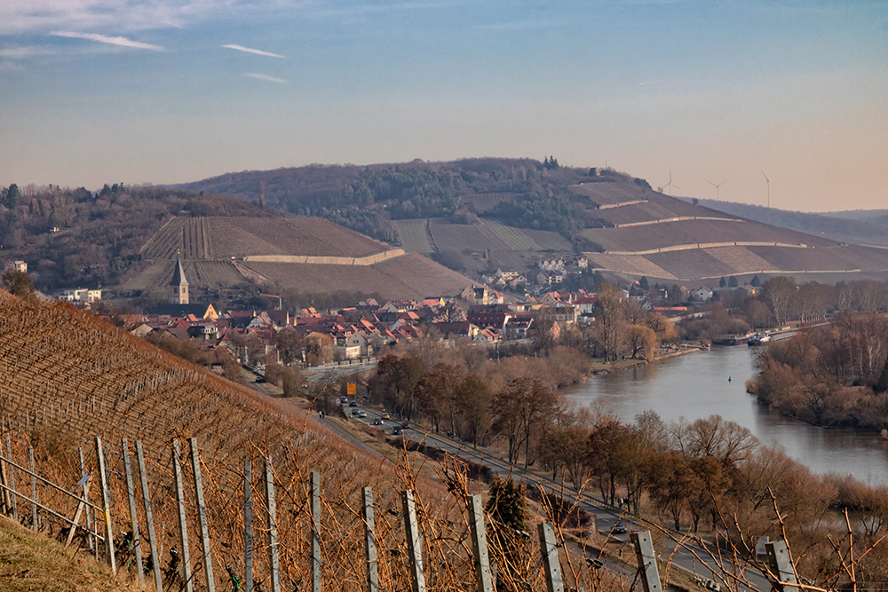 Blick aus den Weinbergen auf Randersacker.