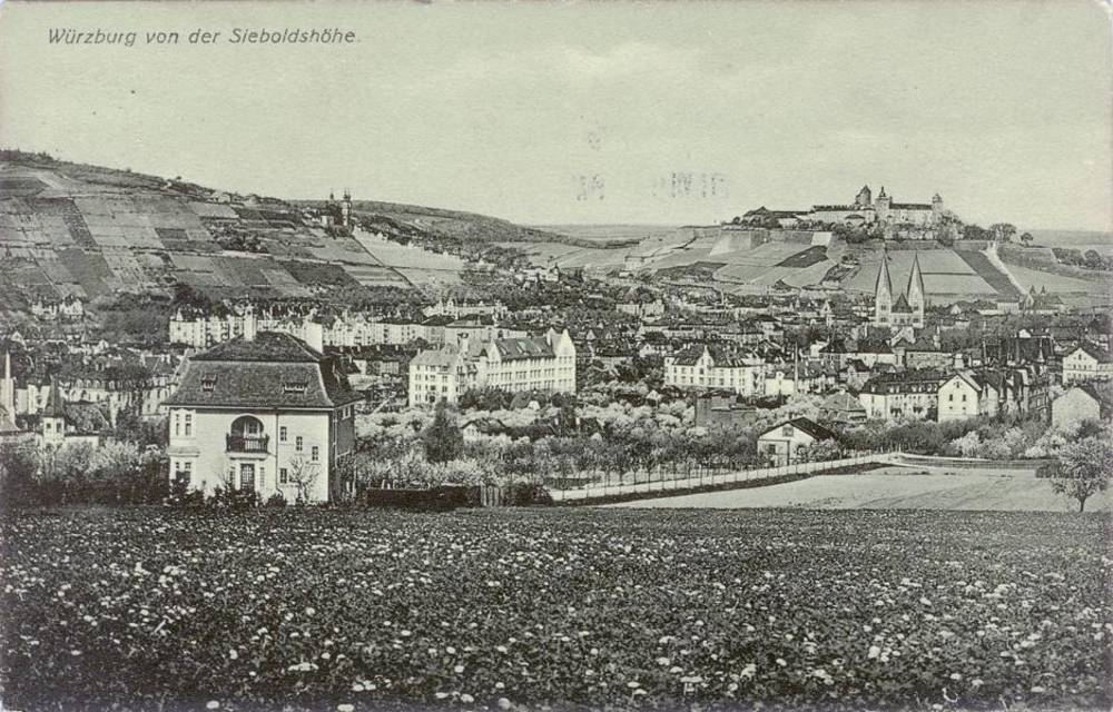 Blick vom Frauenland in Richtung Sanderau im Jahr 1917.