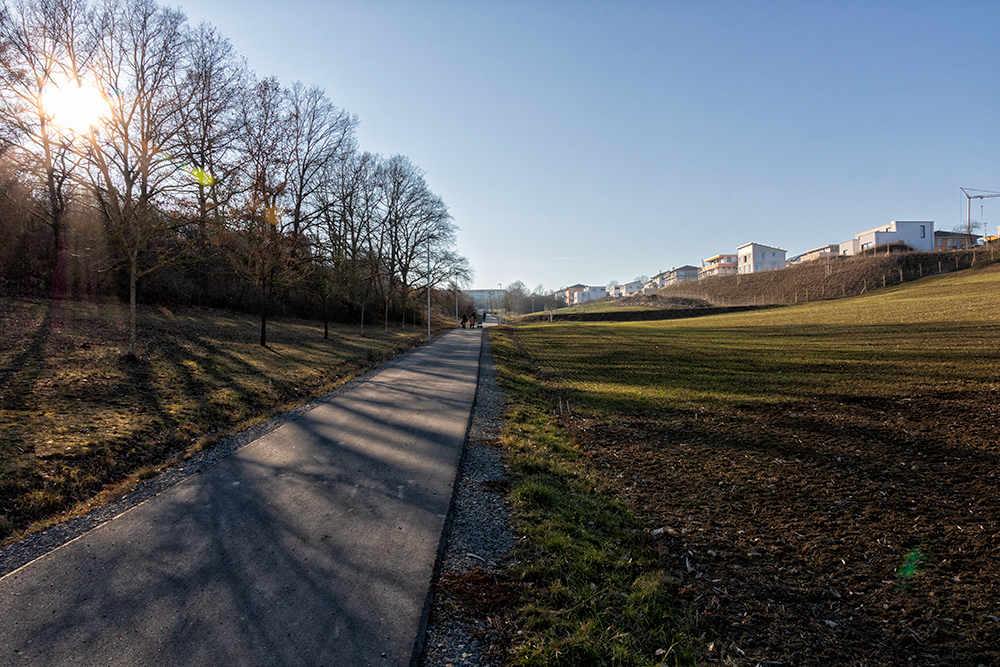 Auf dem Judenpfad mit Blick auf ein Neubaugebiet auf der rechten Seite.