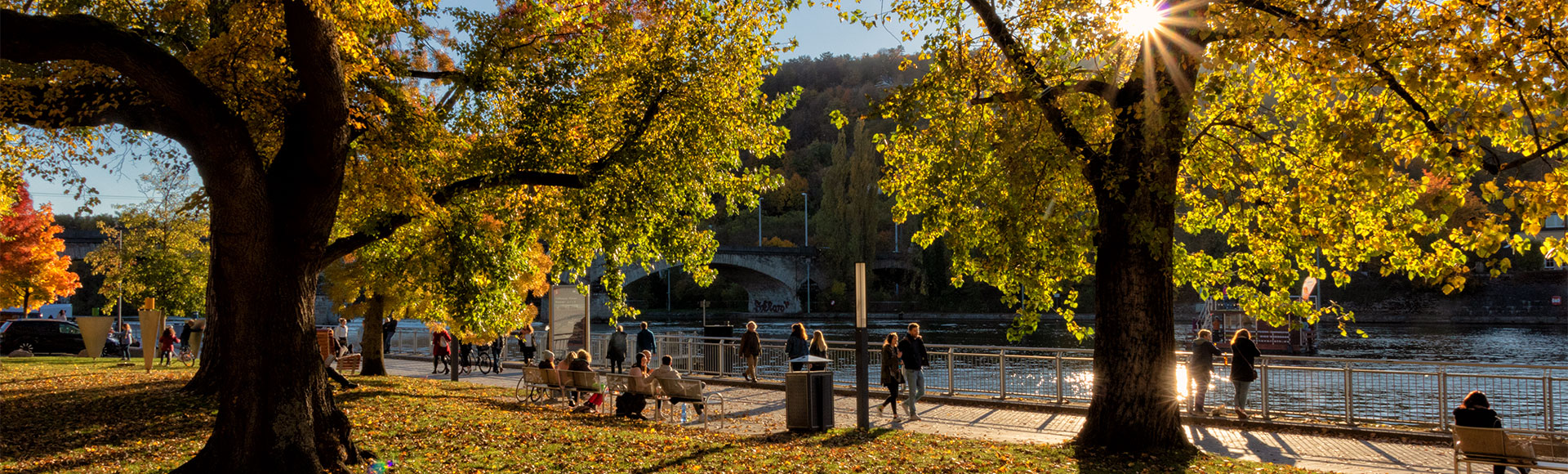 www.wuerzburg-fotos.de
