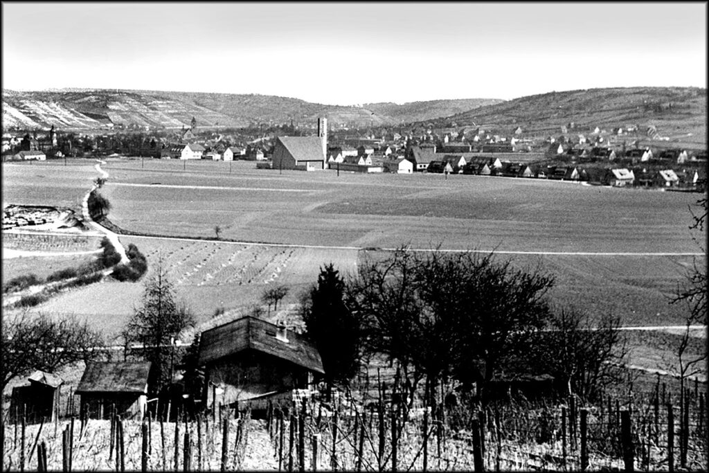 Blick auf die Lehmgrube im Jahr 1957 vom Leitengraben (Foto: Archiv Willi Dürrnagel)