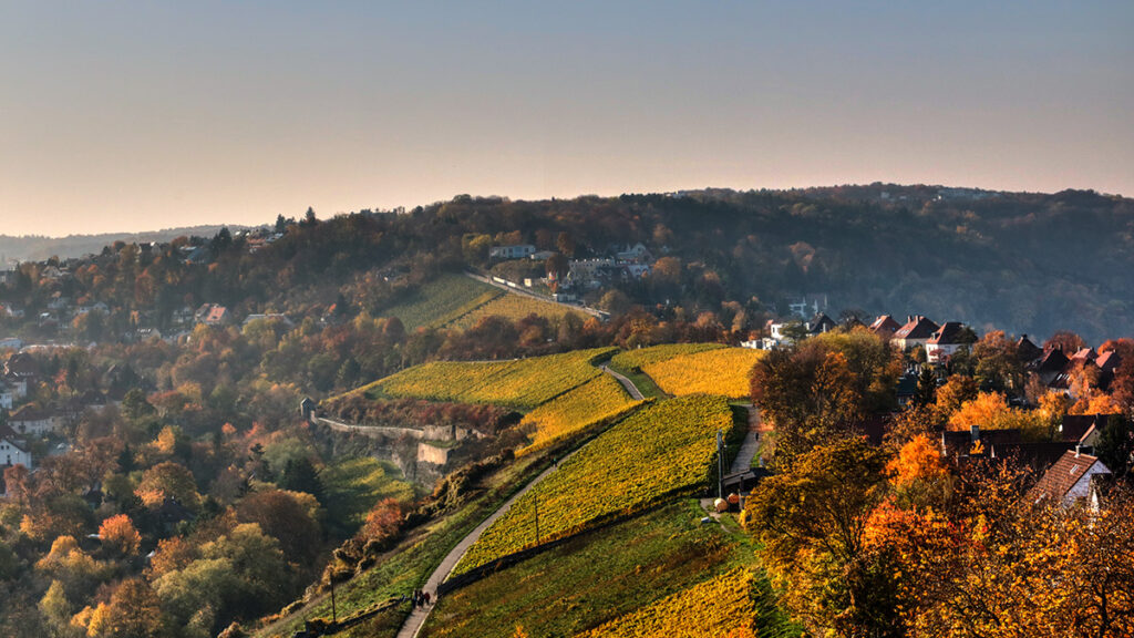 Blick von der Festung Marienberg über den Leistengrund (links) und den Hexenbruch in Höchberg (rechts).
