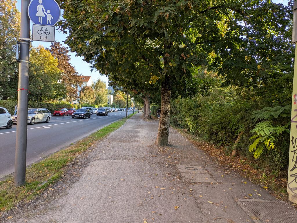 Direkt am Sebastian-Kneipp-Steg endet der gut ausgebaute Fahrradweg allerdings abrupt. Der schützenswerte Bestand an alten Bäumen verhindert hier den weiteren Ausbau. Fahren kann und darf man hier aber trotzdem.